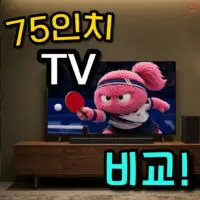 실패없는 75인치 TV 고르기: 추천&구매가이드